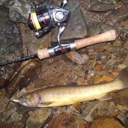 渓流ミノーイング ～長良川水系～